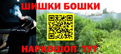 индика Вышний Волочёк