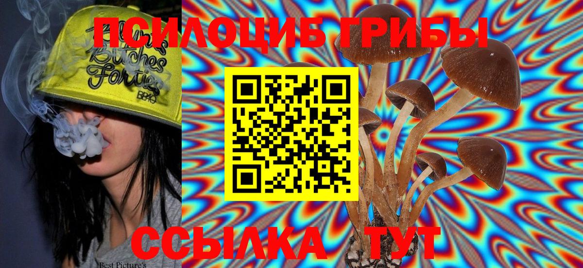 Галлюциногенные грибы GOLDEN TEACHER Будённовск