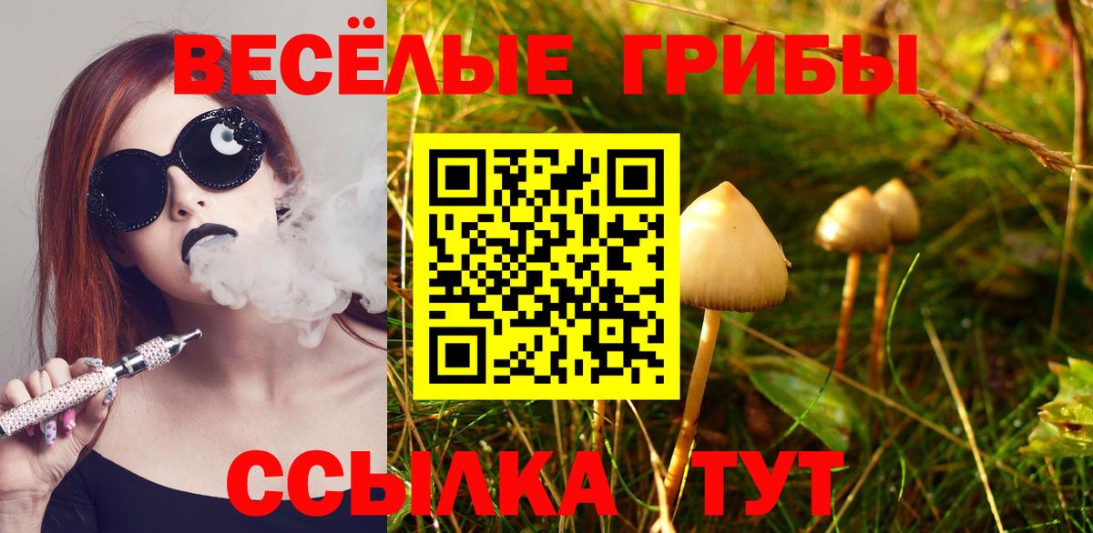 Будённовск  Галлюциногенные грибы Magic Shrooms  Псилоцибиновые грибы MAGIC MUSHROOMS  сколько стоит  Вход с VPN 